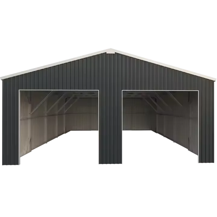 CG2849-H305-2ER/H C-TYPE structure metal car garage