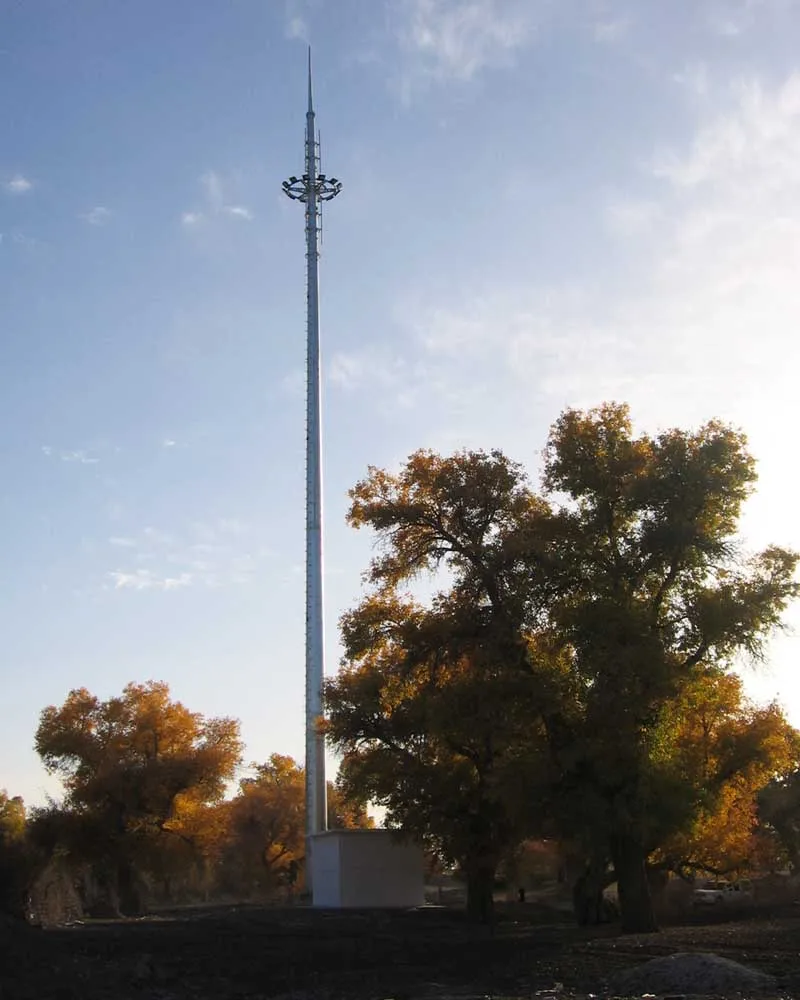 15M 20M 25M Hot Dip Galvanized Mobile Internet Radio Signal Mutual Communication Monopole Tower