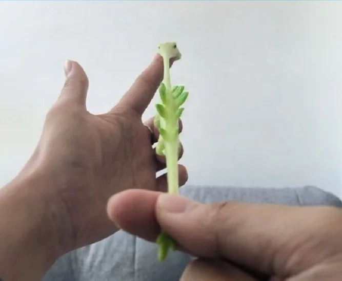 Wholesale fidget toy sticky hand squeeze decompression toy TPR dinosaur finger slingshot