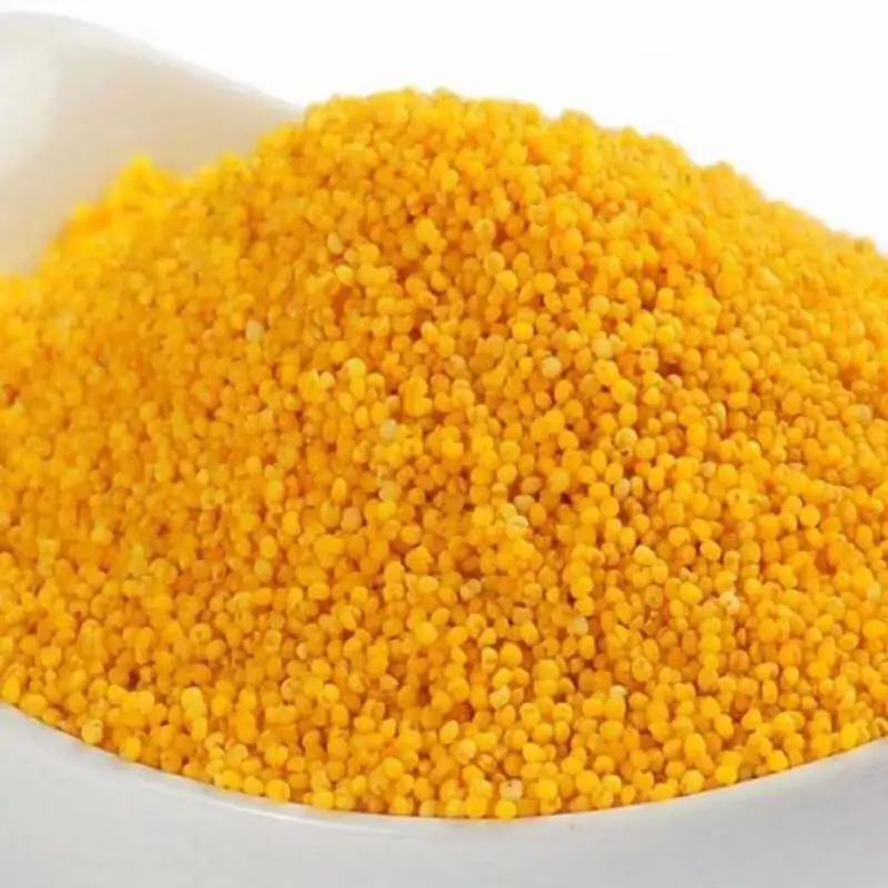 China Manufacturer New Product 500g Yellow Gluten-Free Grain Millet