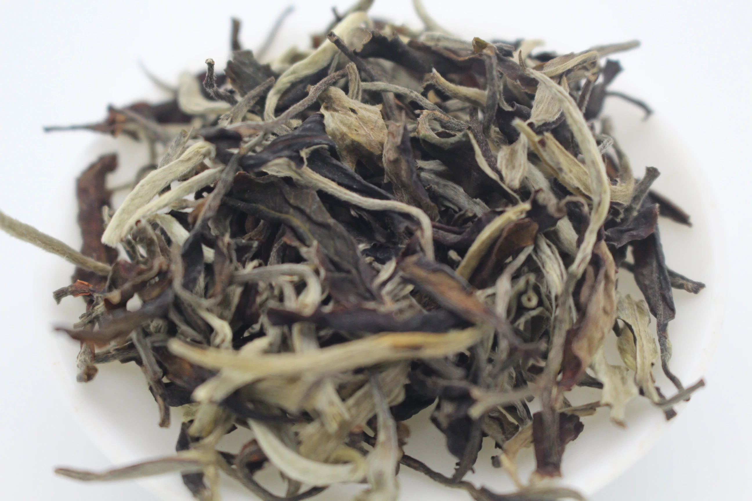 Famous China White Peony Tea Wholesale High Quality High Grade Pai Mu Dan Tea From Fuding