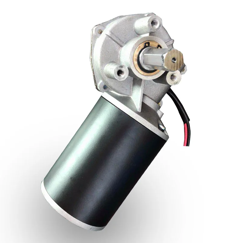 Factory Cost Dc Brush Electric Motors Low RPM Dc Motor with Dual Shaft D76R 12120 25 (1600094879367)