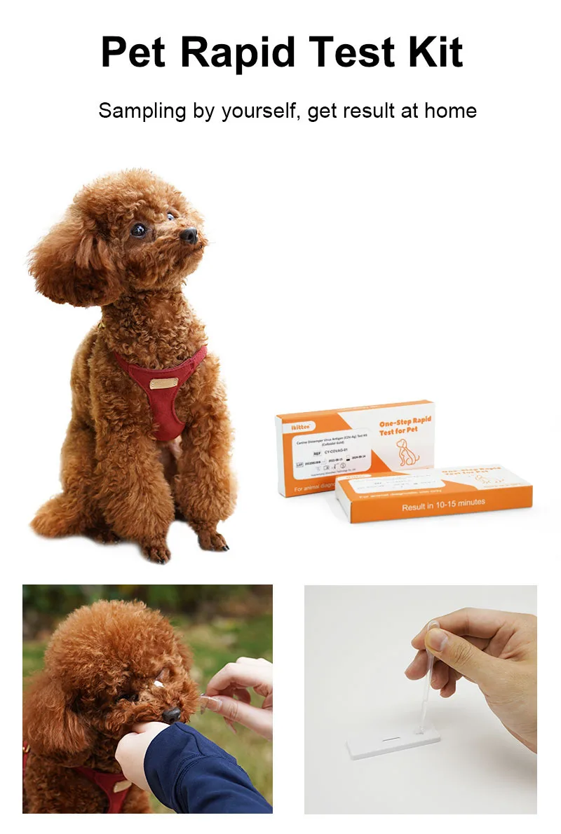 Dog  cat home use testing Cdv Cpv FPV  Pet Feline Parvovirus antigen Giardia Ag pet Rapid Test Kit