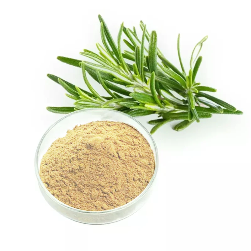 Factory Supply Good Quality Rosemary Extract 5%~98% Rosmarinic acid rosemary extract powder