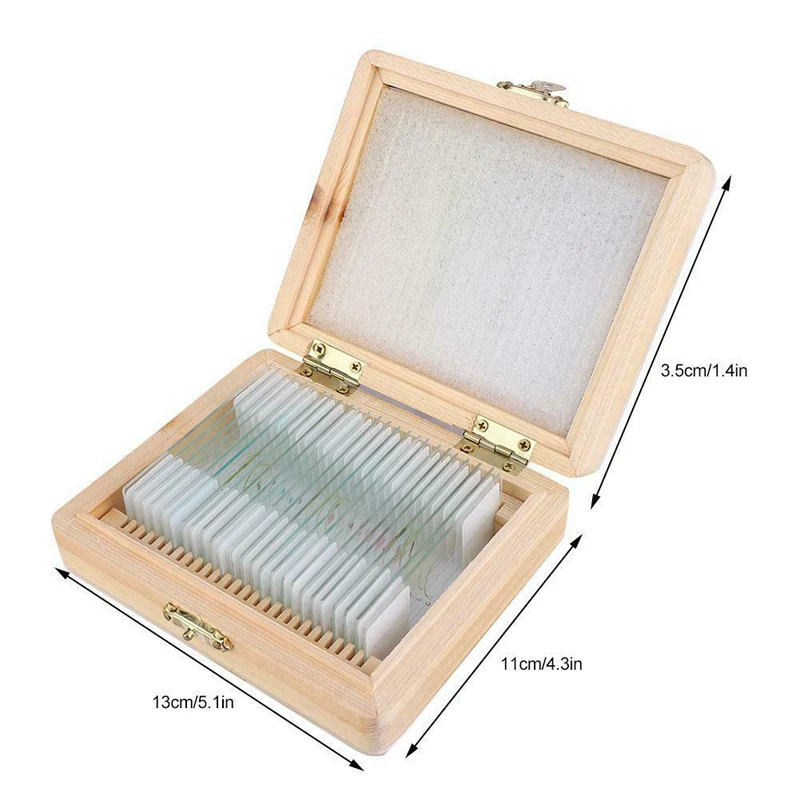 30pcs Bacteriology Microbiology Prepared Glass Microscope Slides Set For Medical Research