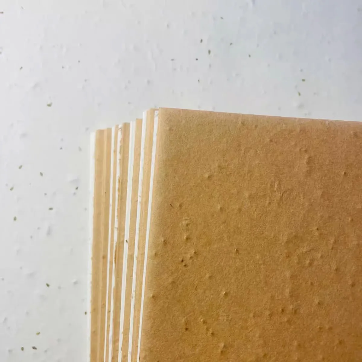 Custom Ecological and environmental protection Seed Plantable Paper For Packaging Cards Gift cards Postcards Business Cards