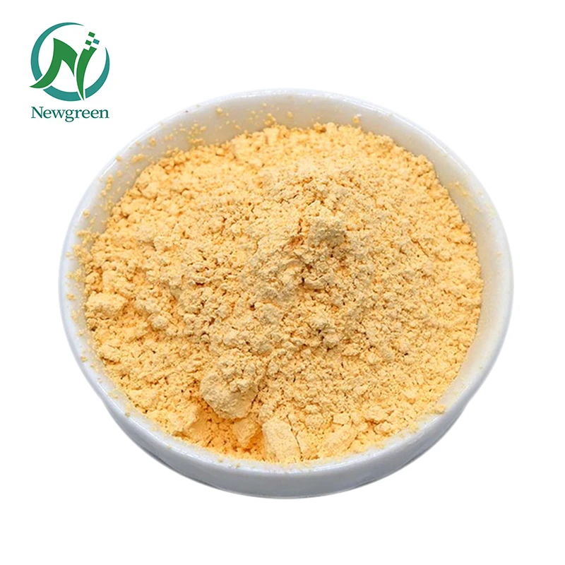 Hot Sell Natural Chitosan in Stock Chitosan Powder With Food Grade 2022