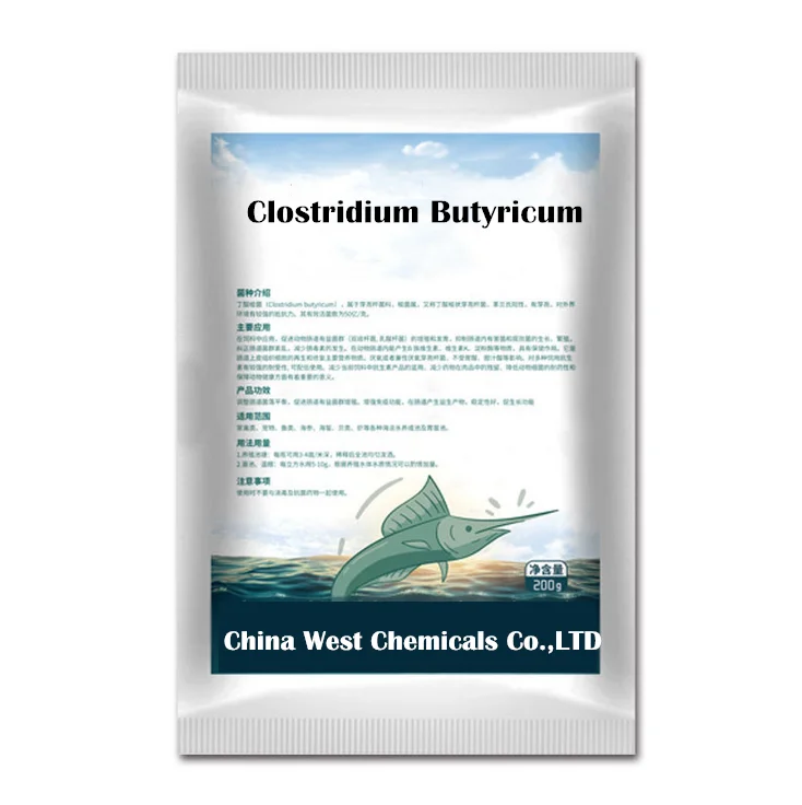 Aquaculture Fish Shrimp Purify Water Improve Water Quality Reduce Nitrite Clostridium Butyricum
