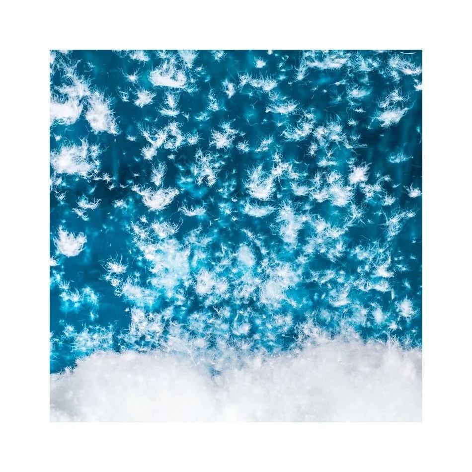 
Bulk Wholesale Down Pillow Filled With Washed Pure White Duck Down 