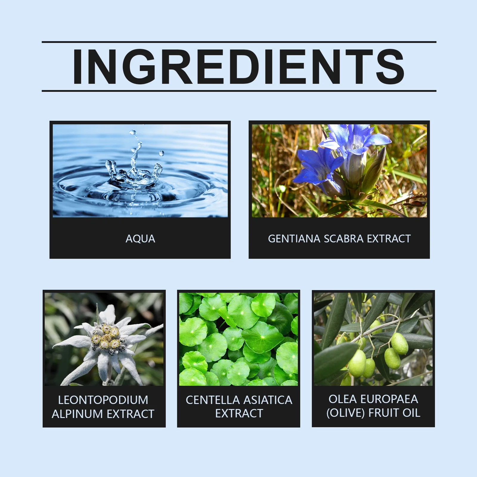 Tightening, Vitality, Deep Nourishing, Restoring Skin Vitality, Moisturizing Skincare, Facial Serum