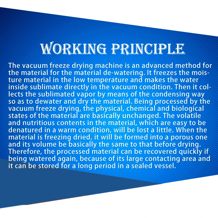 TCA Freeze drying machine sublimation condensation dryer vacuum freeze dryer for fruits vegetables