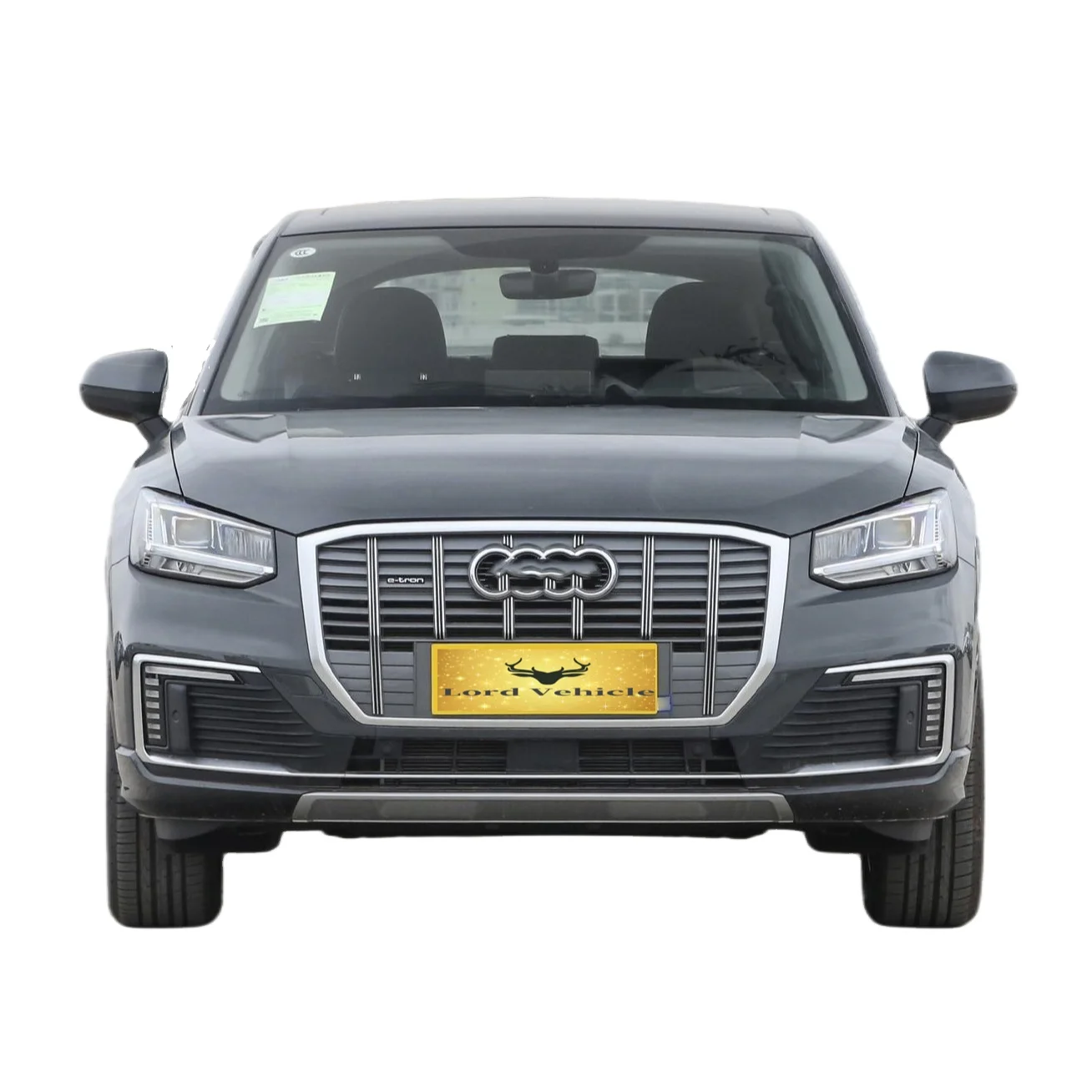 Long range family ev Fast charging electric vehicle High speed audi q2l e tron