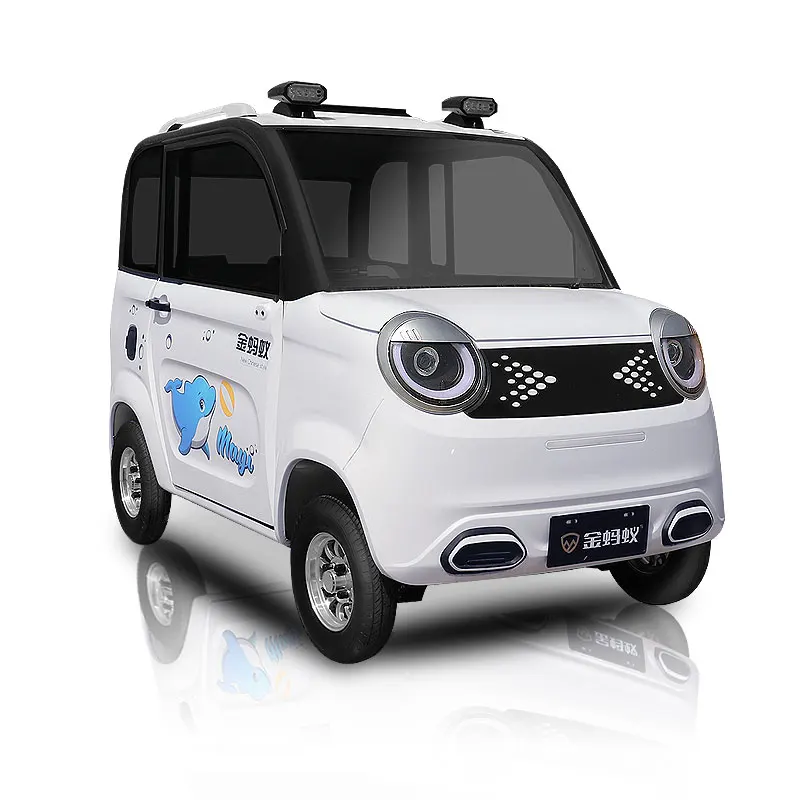 Грузовой автомобиль mini ev 5 кВт 500 км грузовой фургон 2024 OEM дальнобойные автомобили FD-2 дверь