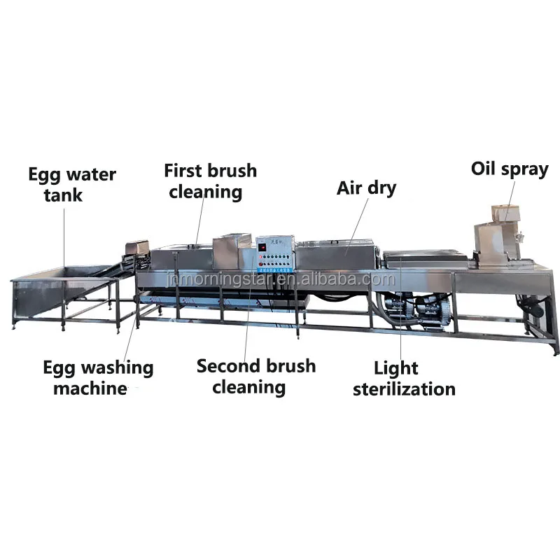High efficient Duck chicken eggs washing sorting cleaning grading machine egg process line