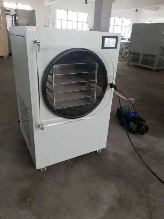 4-6kg Freeze Dryer Strawberry Pitaya Lyophilizer for Fruits and Vegetables