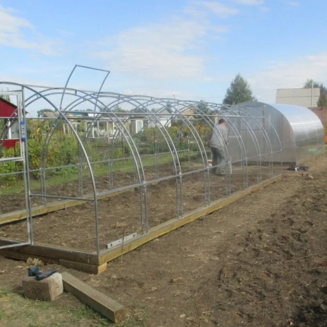 New design polycarbonate garden single door Galvanized steel tunnel greenhouse