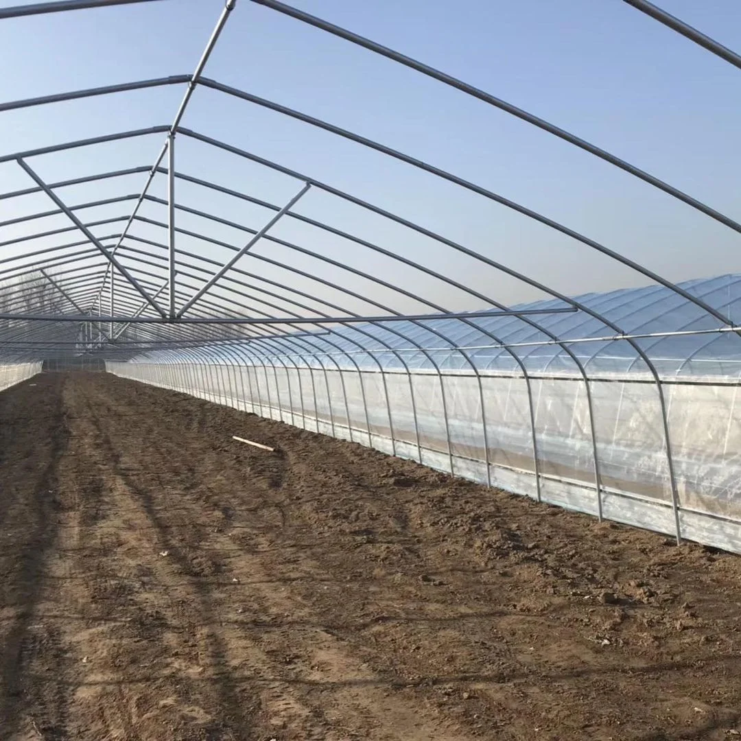 Hangmei Economic single span greenhouse poly tunnel invernadero smart for