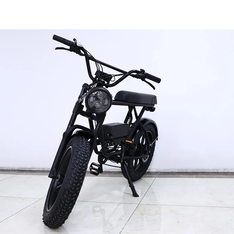 Factory Hot Products 20 Fat Tyre Mountain Electric Bicycle Long Saddle Full Suspension Electric Bike Rear Drive Ebike