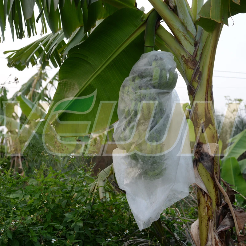 
Garden Biodegradable Non Woven Fabric Fruit Protection Bags Banana Grow 