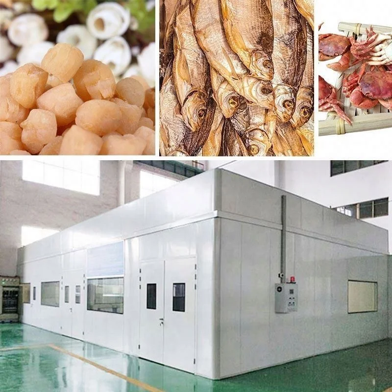 2000Kg Customized OEM ODM Heat Pump Cuttlefish Squid Calamari Octopus Fish Meat Food Drying Equipment
