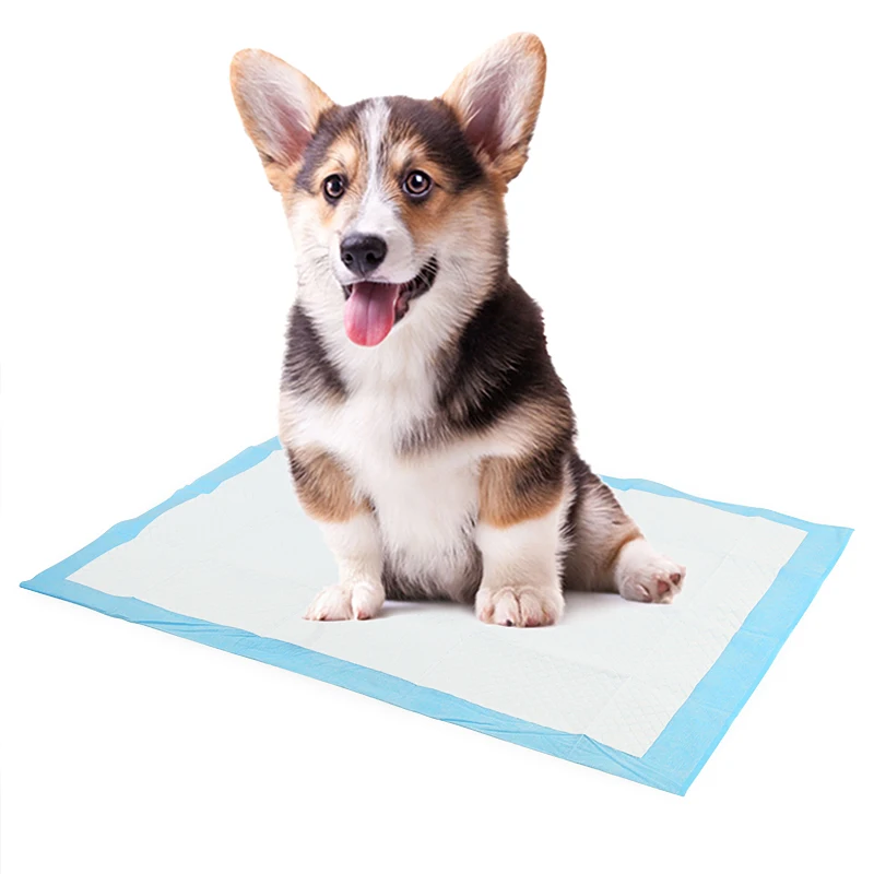 Wholesale Super Absorbent Pet Diaper Dog Training Pee Pads Disposable Urine Nappy Mat For Cats Dog Diapers Cage Mat Pet Supplies