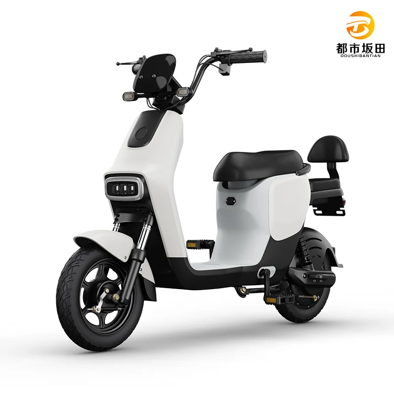 New Electric Bike 500W Motor Electric Motorcycle Fast Electric Bike