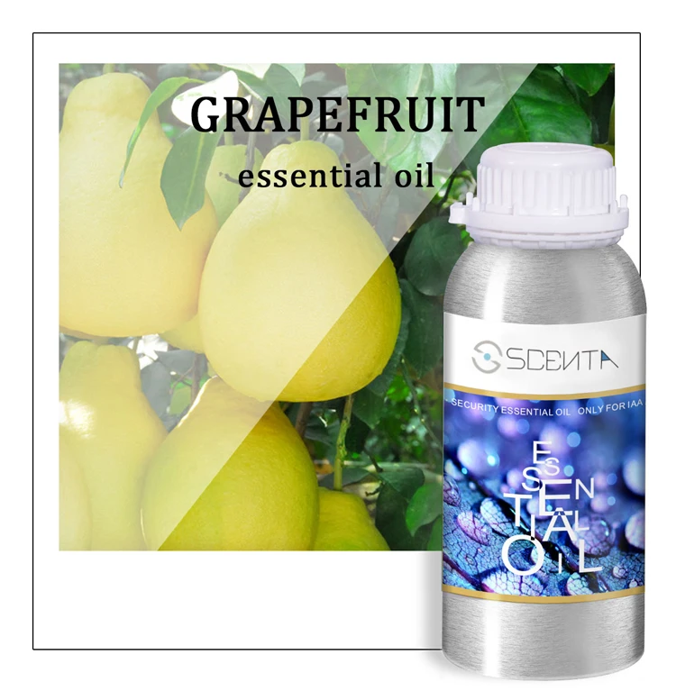 SCENTA Professional Branded Perfume Fragrance Oils Manufacturer Natural Orange Fruity Essential Oil Fragrance Oil