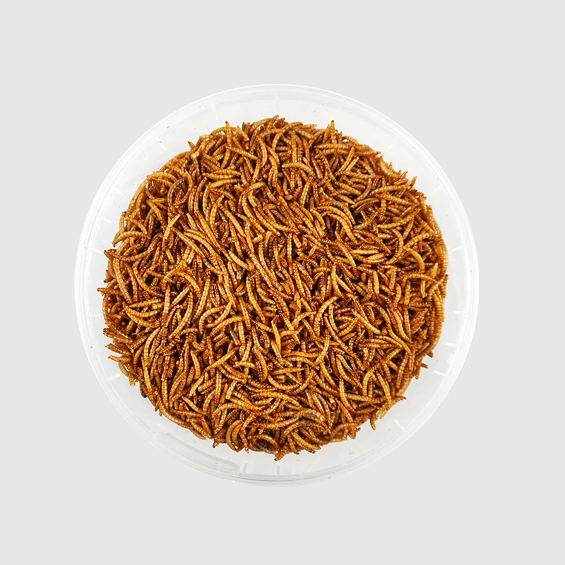 wholesale dried yellow mealworms pet food bird food feed hamster snacks ornamental fish and turtle food