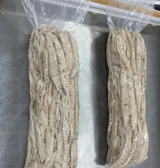 Frozen Bonito Tuna Loin Cooked Fish Fillet in Nature Style Box Bag Vacuum Pack Packaging