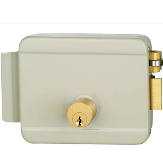 Germany High Security Stainless Steel 12V Security Smart Magnetic Electronic Metal Door Gate Electric Door Rim Lock