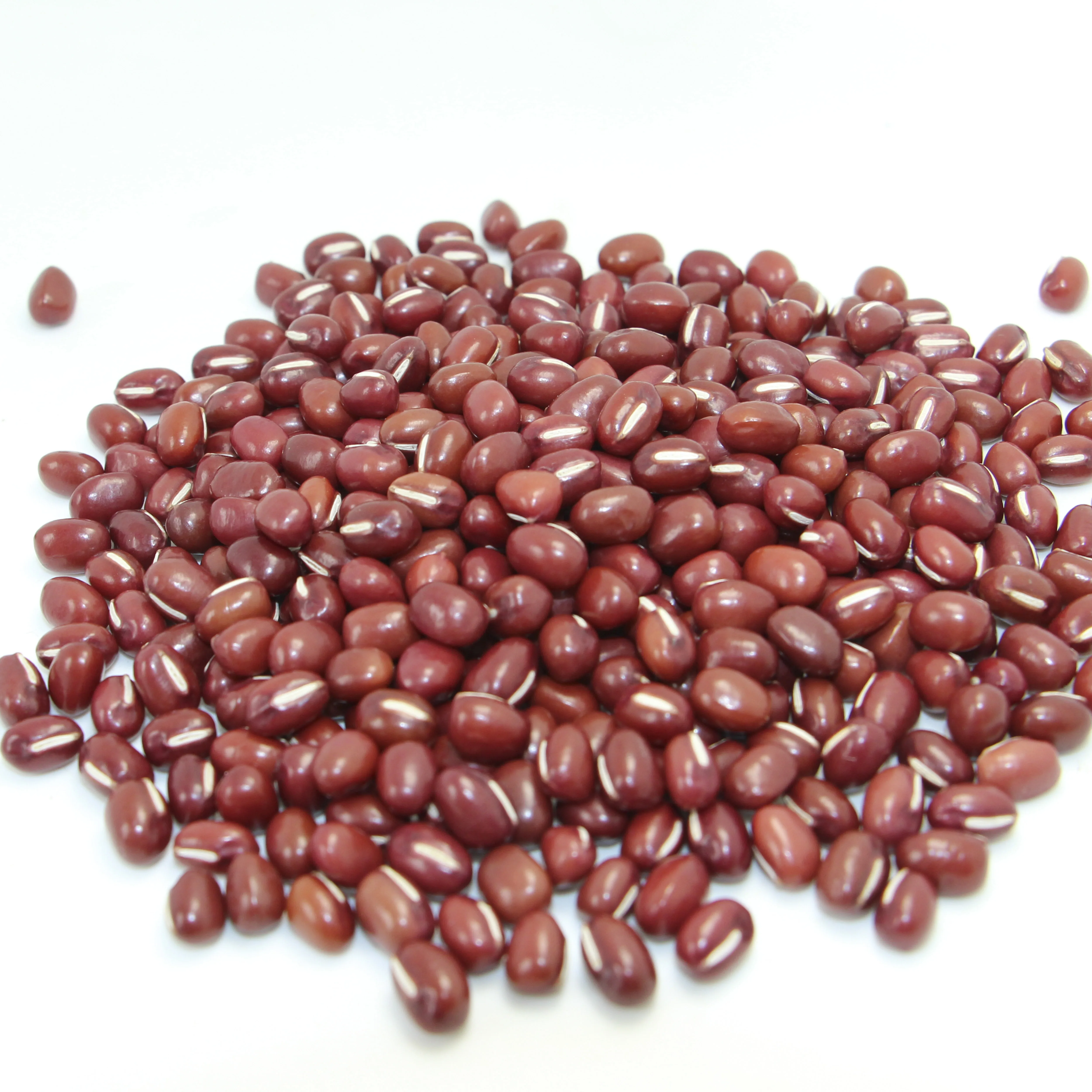 china hot sale red small size adzuki bean for export