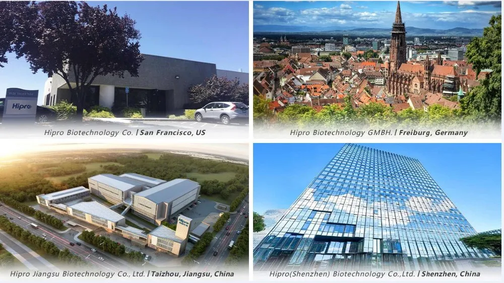 Антител-анализатор Helicobacter Pylori-желудочный функциональный тестовый комплект HP-медицинские Диагностические реактивы с маркировкой CE