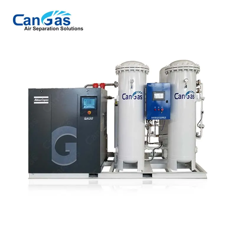 N2 equipment for oil and gas equipment PSA membrane nitrogen generator