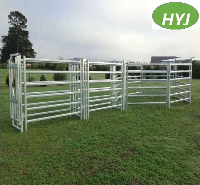 Portable Hot Sale Galvanized Metal Farm Equipment For Dairy Cow Cattle Yards Cubicles From China