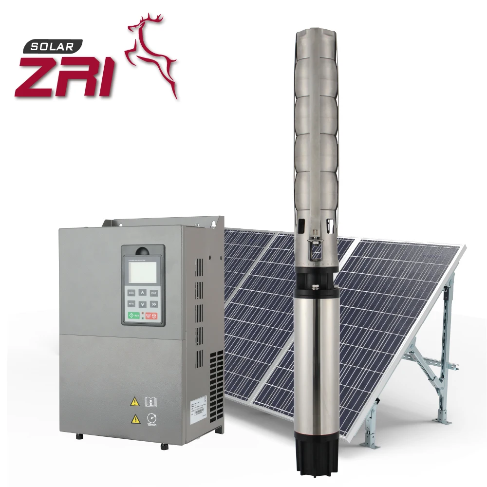 ZRI 6 Inch 3HP 6SP20 Stainless Steel Solar Borehole Pump System Bomba Solar Bomba De Agua Solar Pump Submersible