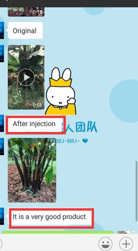 Liquid Amino Acid Organic  Foliar  agriculture Fertilizers