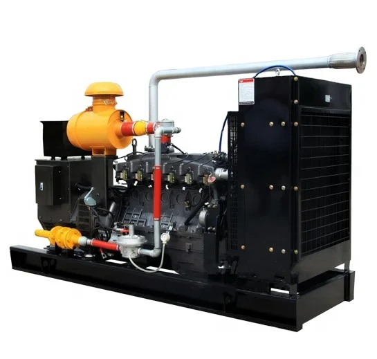 Farm Waste 3-Phase Cogeneration Natural Water Cooling Bio Gas Plant Generator 80Kw 100Kva
