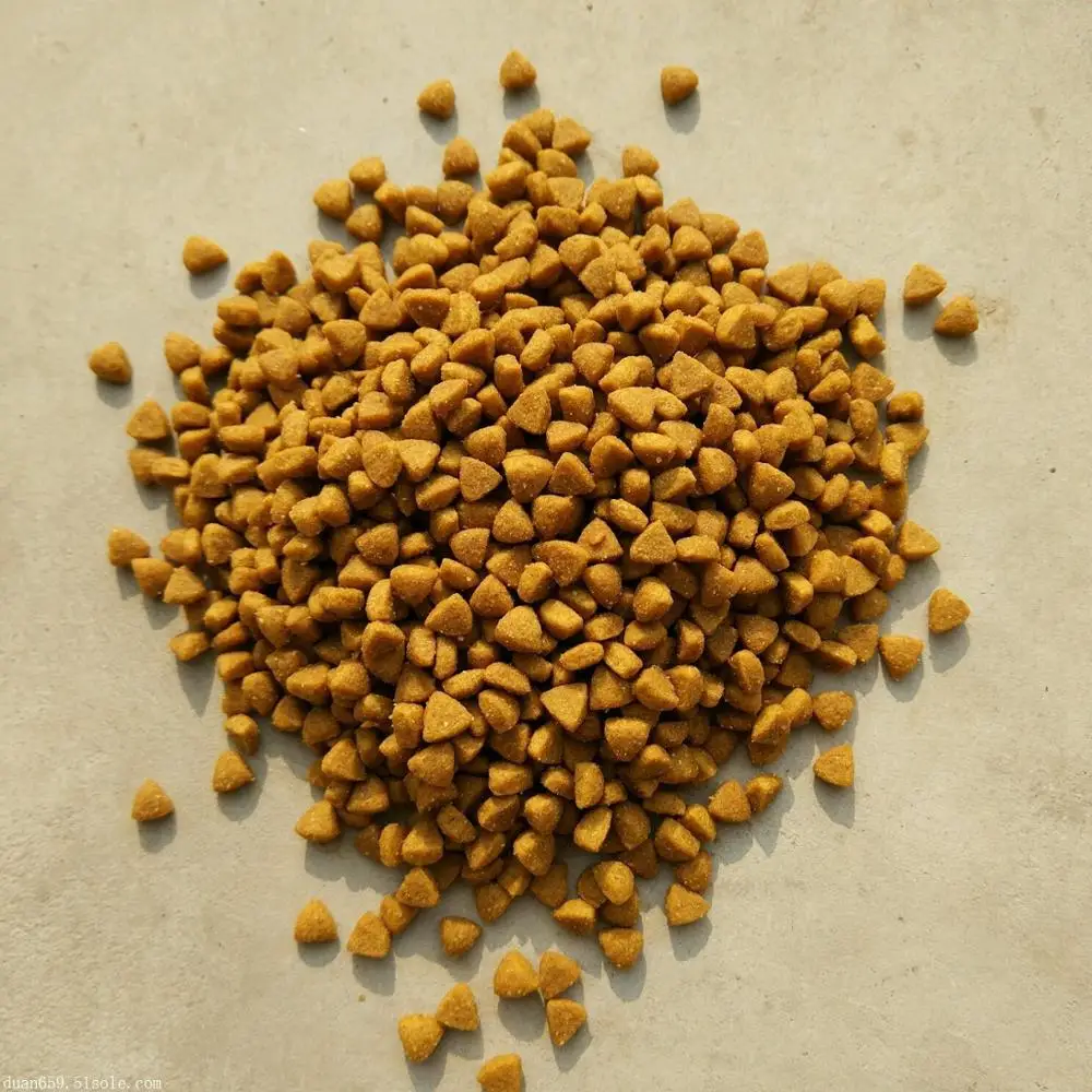 
dog food 