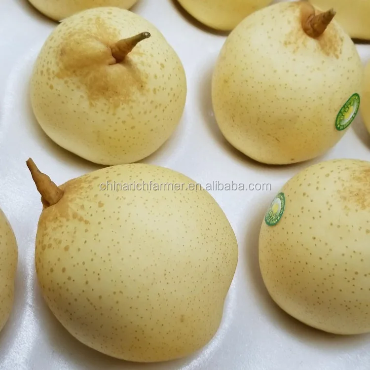 Сладкая груша нового урожая свежая Корона/я груша 28-32-36 шт./9 кг картонная коробка поставщик