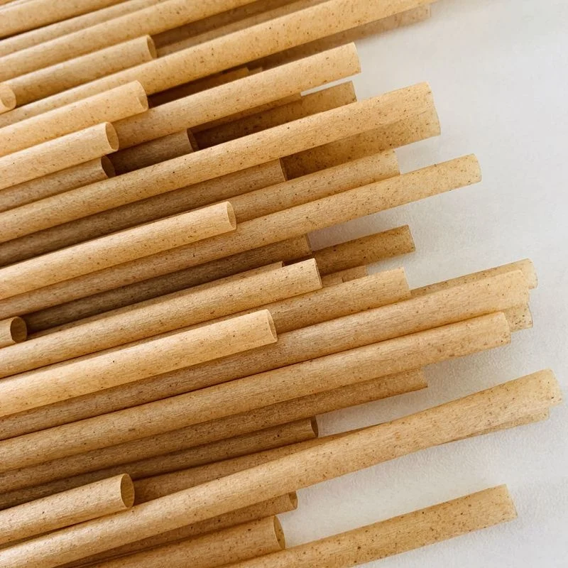 Hot Sale Compostable Biodegradable Fashion Ecological Sugar Cane Straws Sugarcane Bagasse Paper Pulp Straw