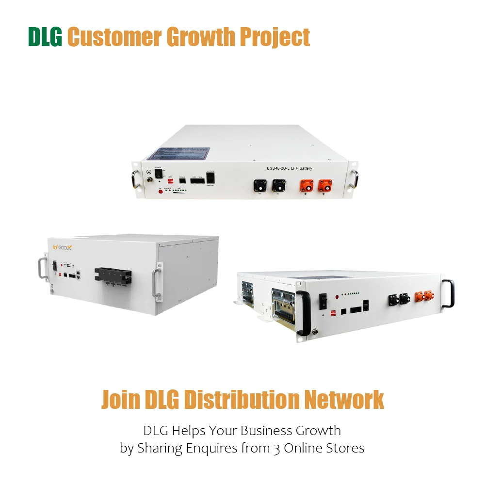  Аккумуляторы DLG LiFePO4 48 в 50 Ач литий-Железный аккумулятор Pylontech US2000 для хранения солнечной энергии жилых и коммерческих