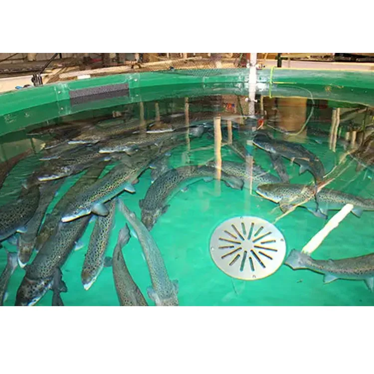 Fish Hatchery Equipment   Tilapia Farming Equipment Catfish Farming Equipment