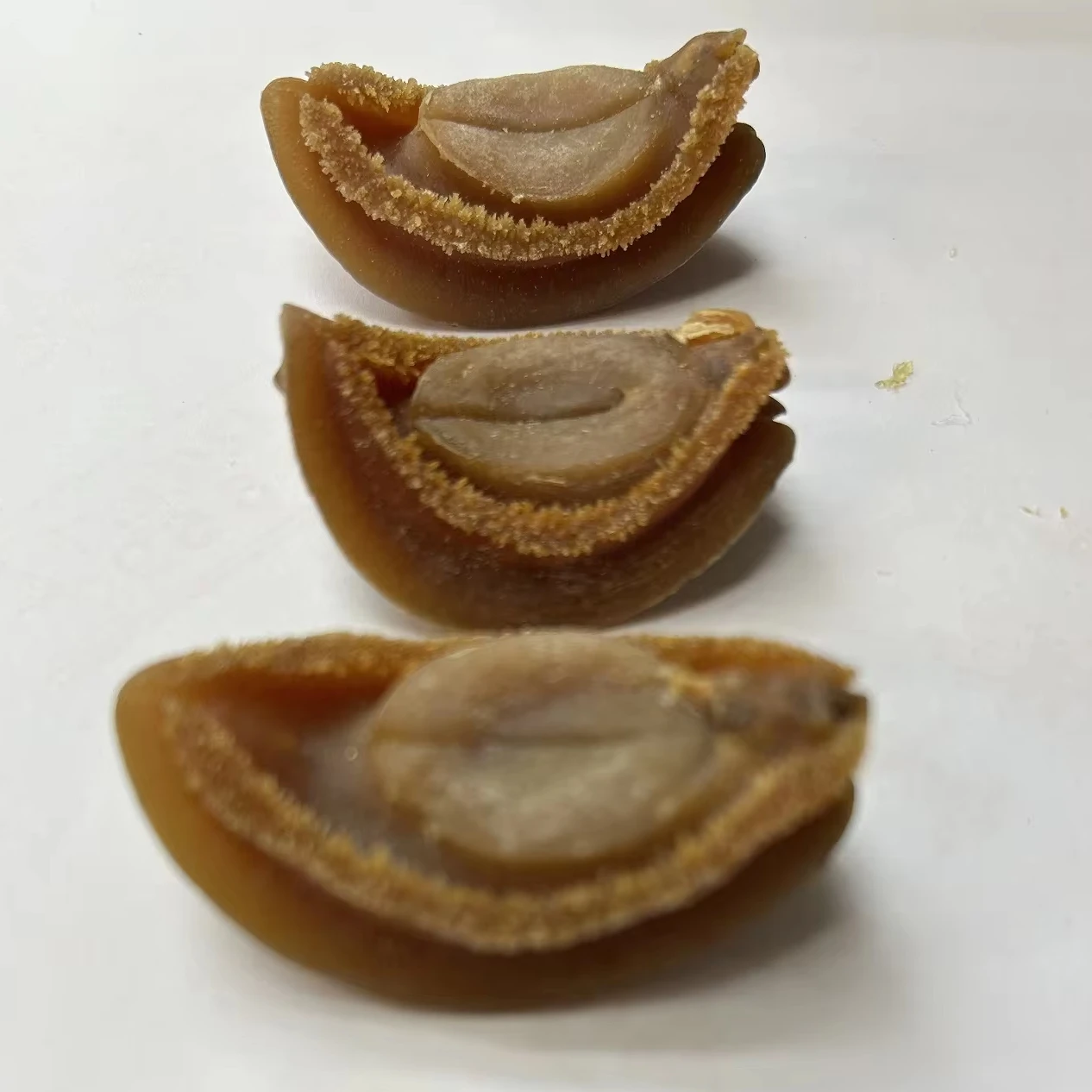 dry abalone from south africa