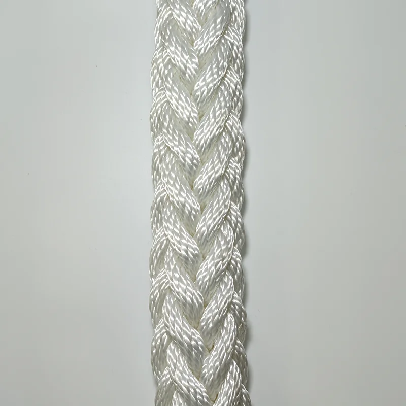 Brand New Plastic Twinepe Rope For Agriculture And Fishing Application