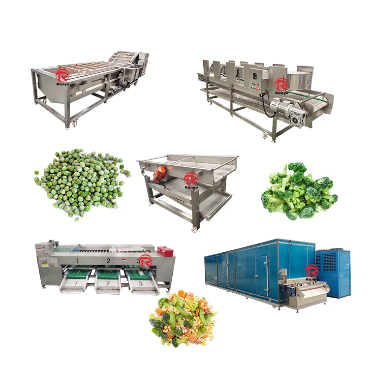 Factory Price Bubble Spinach Apple Strawberry Mango Salad Cleaning Drying Sorting Washing Processing Machine