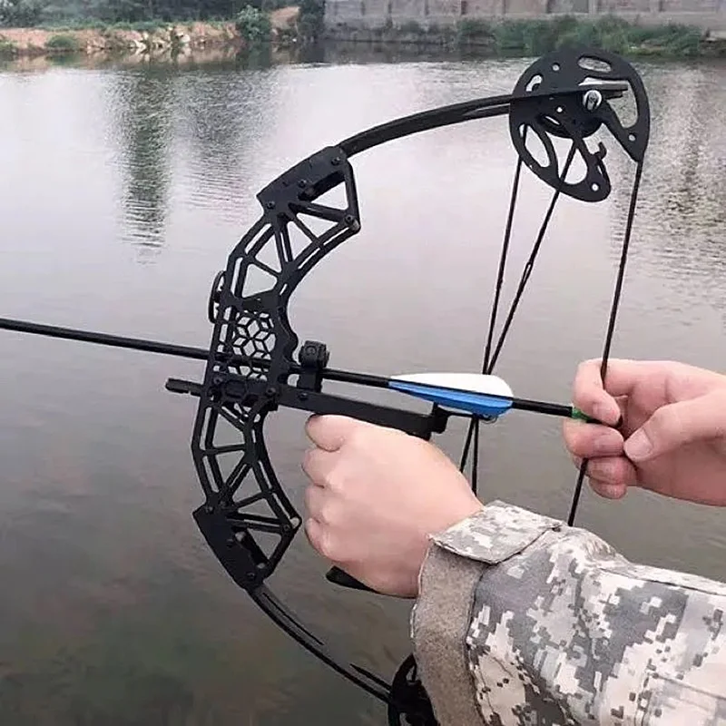 Mini compound pulley bow and arrow Mini  outdoor fish  equipment 45 pounds with sight