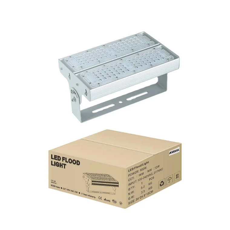 YOUWIN 100W Outdoor Sport Stadium Gym Parking LED Flood Light Module Customizable Wholesale 5 Years Warranty IP65 Aluminum Lamp