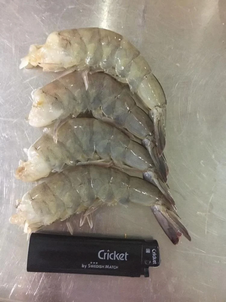 Indonesia Whole sale good quality cheap price Frozen Vannamei White Shrimp