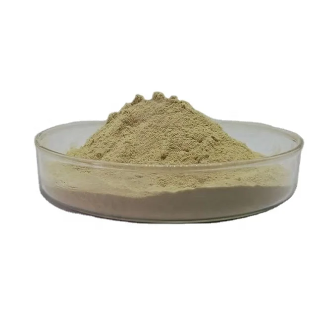 
Factory Supply Food Additive Nuclease With Cheap Price Nuclease powder 9013-53-0 