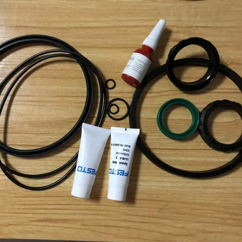 Festos repair kit DSBG-160 80251574